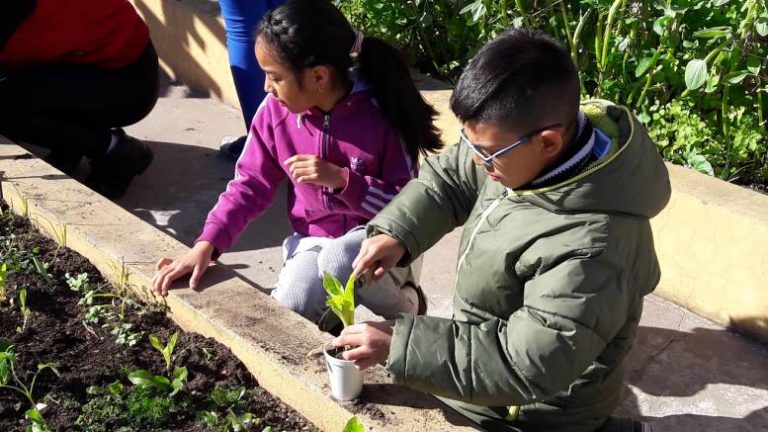 Lee más sobre el artículo Desde Escuelas Verde se invita a los establecimientos a postularse para su reconocimiento