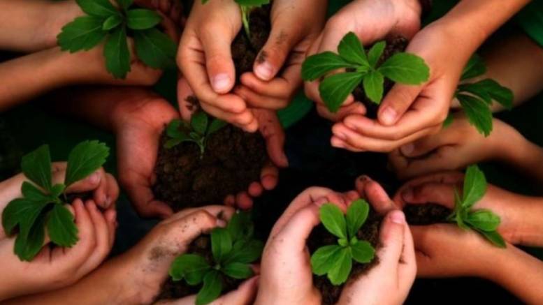 En este momento estás viendo Se conmemora el Día Nacional de la Conciencia Ambiental