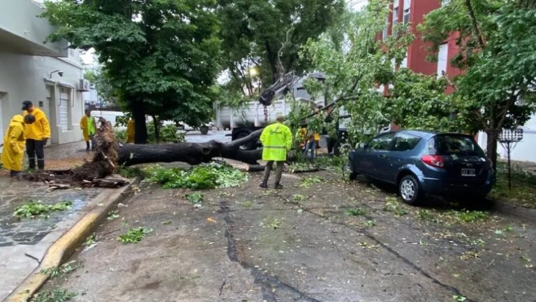 Lee más sobre el artículo Luego del temporal que azotó a la Ciudad más de 184.000 usuarios siguen sin luz